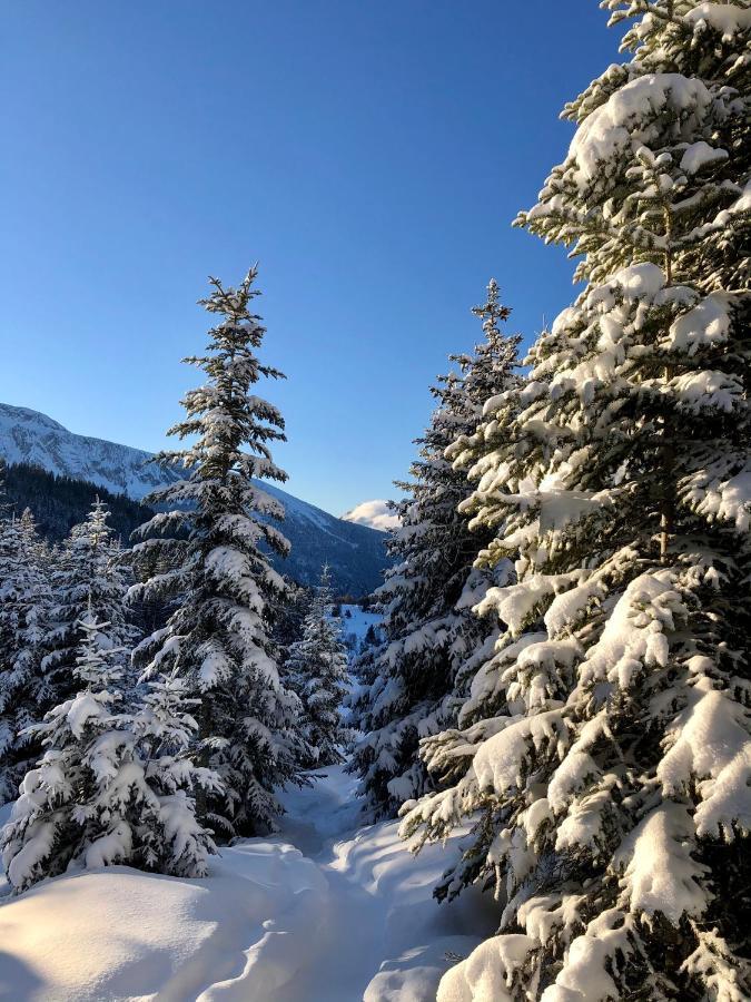 T2- 4Pers- Chamrousse Bachat Bouloud Apartment Bagian luar foto